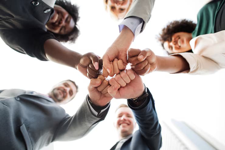 Organisations